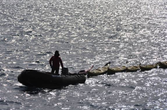 Os caiaques já estão prontos para nossa primeira sessão de remo na Antártica, aqui em Deception Island, uma antiga caldeira de vulcão